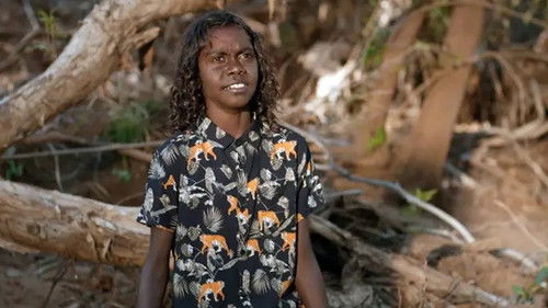 Background image for Barrumbi