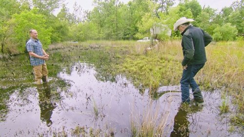 Background image for Marsh Madness