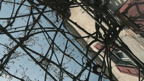 Background image for Episode 9