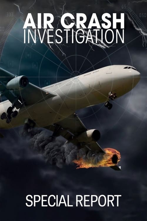 Show cover for Air Crash Investigation: Special Report