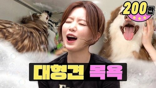 Background image for The dog is too big, too hard to bathe😣ㅣBathing big dogs ㅣWorK-dol ㅣShuhua