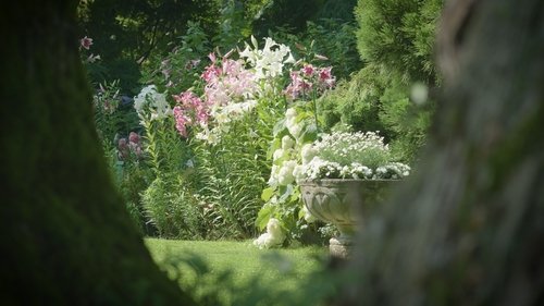 Background image for A collector's garden