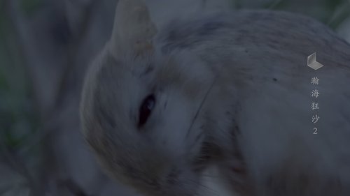 Background image for Episode 2