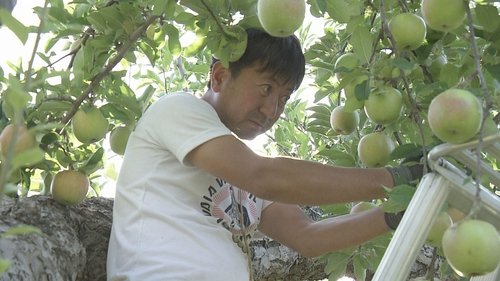Background image for Fruitful Connections