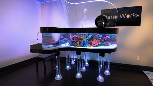 The Amazing Piano Tank