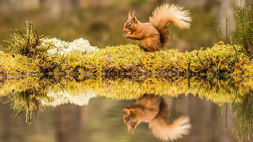 Background image for Episode 2