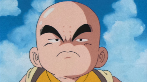 Goku's Rival