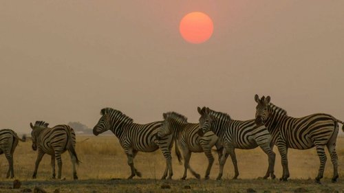 Background image for Africa
