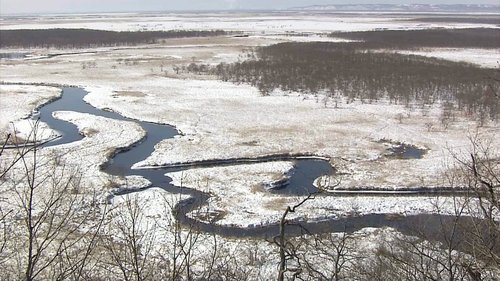 Background image for Kushiro Wetland in Harsh Winter