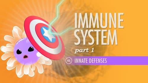 Immune System, Part 1