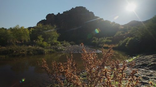Background image for Finding A Foothold