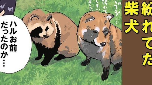 Catching Eels / Trash Panda
