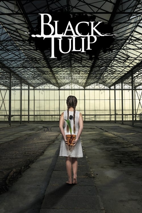 Show cover for Black Tulip