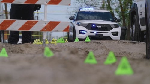 Background image for A Witness to Murder