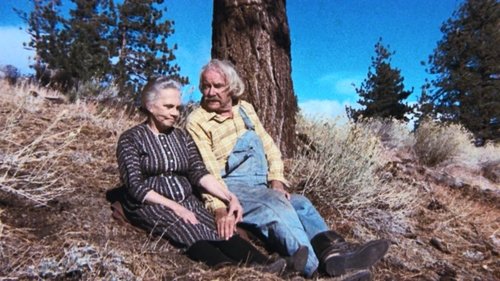 Background image for The Empty Nest