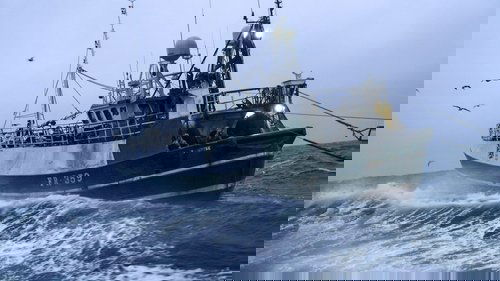 Background image for The Race