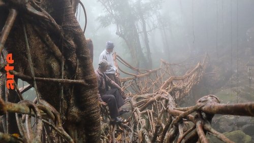Background image for Episode 9