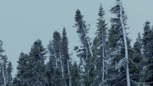 Background image for The Bitter End