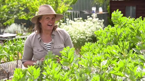 Background image for Episode 2 Urban Heat, Seed Saving, Figs & Compost