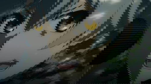 Background image for Arisaka's Journal