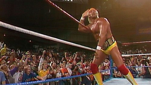 Background image for Saturday Night's Main Event - Nov 25, 1989