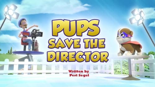 Pups Save the Director