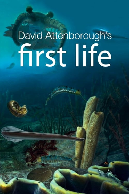 Show cover for First Life