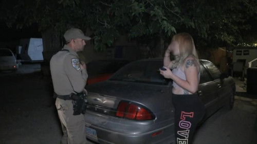 Hit and Run Investigation