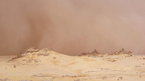 Surviving the Impossible