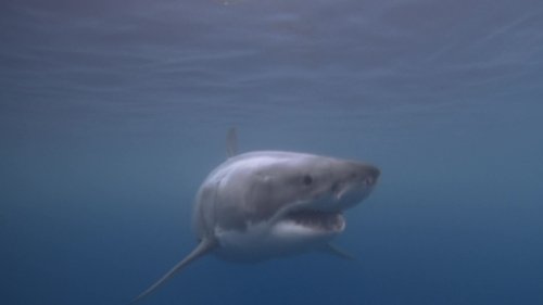 Background image for Invaders
