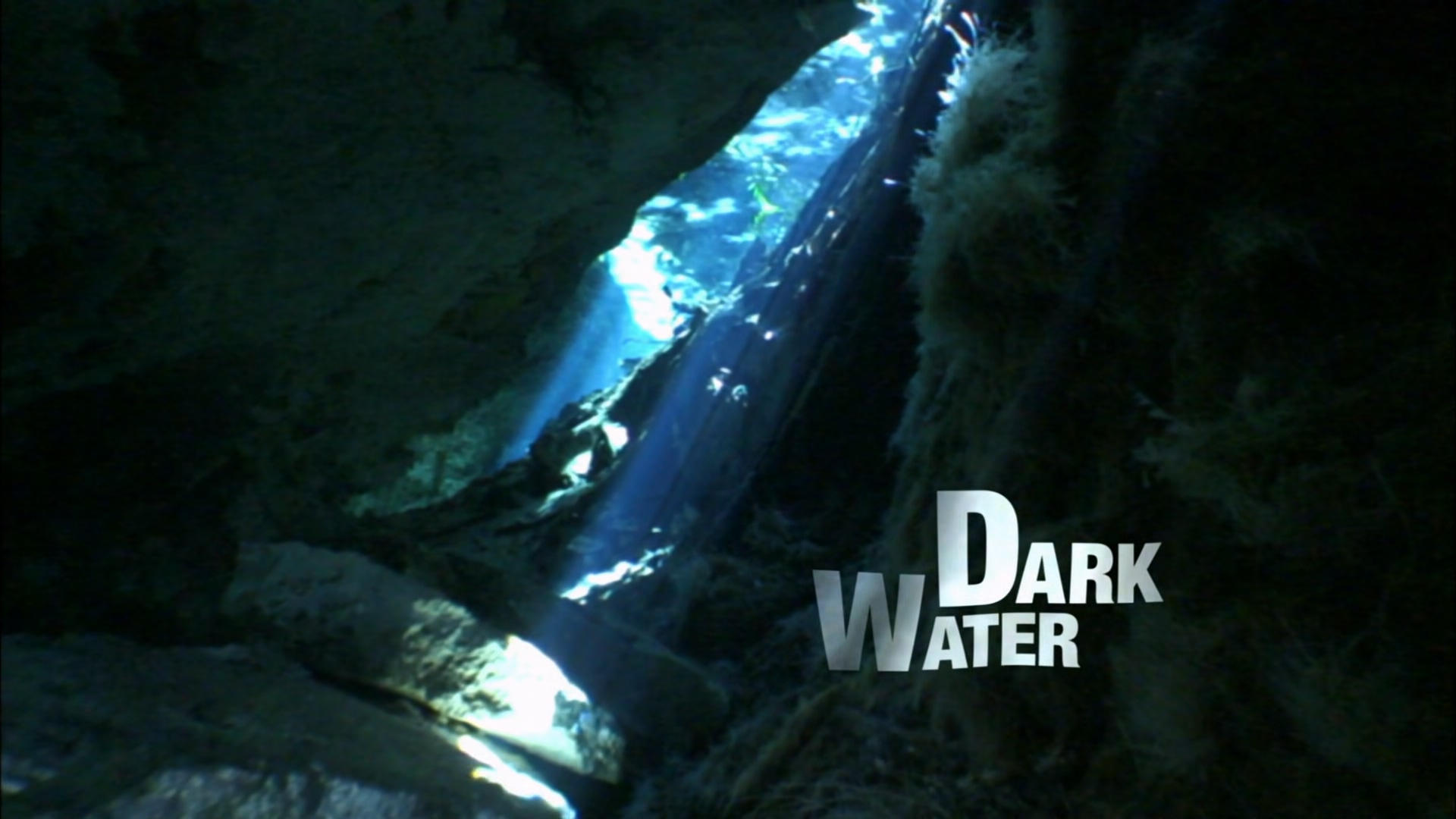 Dark Water