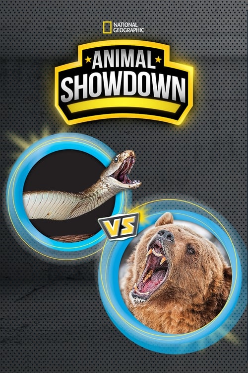 Show cover for Animal Showdown