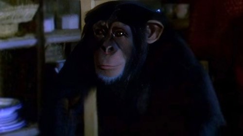 Background image for Tarzan and the Curse of Death