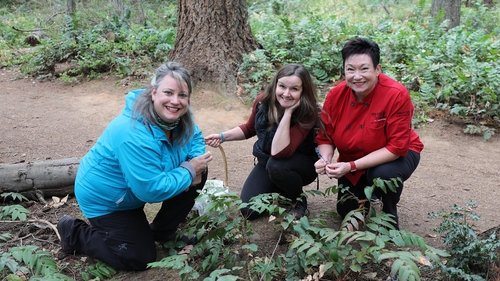 Background image for Indigenous Cooking and a Sunshine Coast Adventure