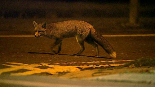 Background image for Episode 2