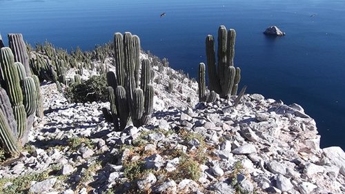Background image for Going To Extremes