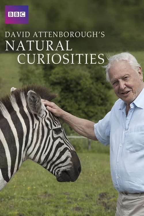 Show cover for David Attenborough's Natural Curiosities