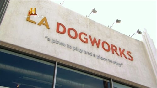 LA Dogworks