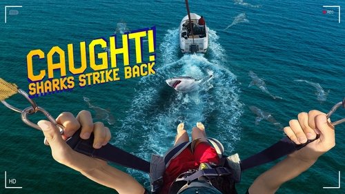 Background image for Caught! Sharks Strike Back