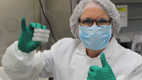 Background image for Episode 201