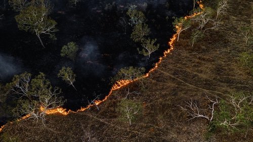 Background image for Fighting Wildfires: Can Tech Help?