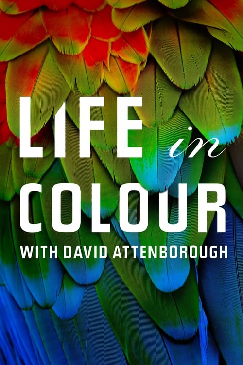 Show cover for Attenborough's Life in Colour