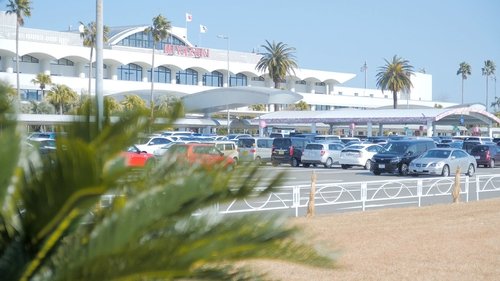 Background image for Keyword: Miyazaki