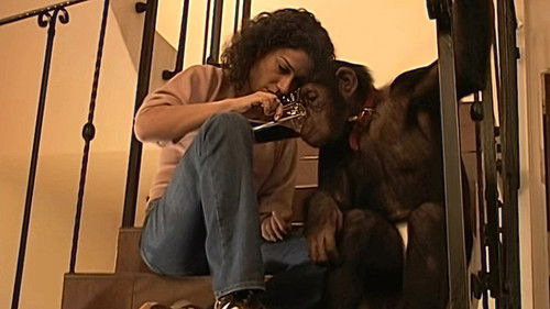 Background image for Episode 11