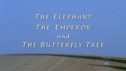The Elephant, The Emperor and Butterfly Tree