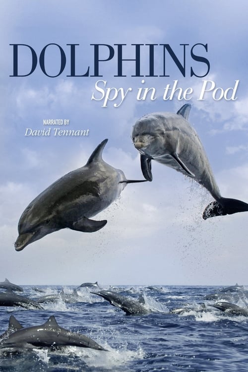 Show cover for Dolphins: Spy in the Pod