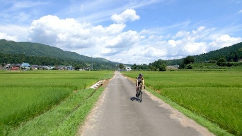Background image for Niigata - The Deep Green of Summer