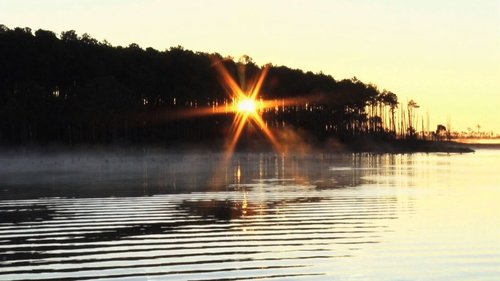Background image for Swanquarter