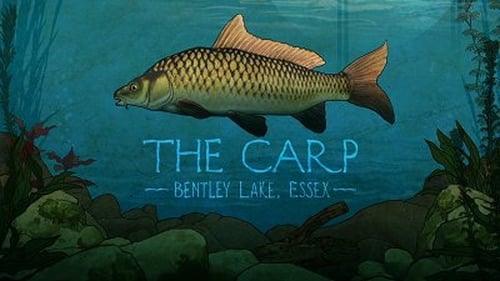 The Carp: Bentley Lake, Essex