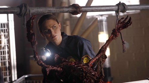 Background image for Two Bodies in the Lab